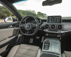 Kia Stinger blue details  (3)